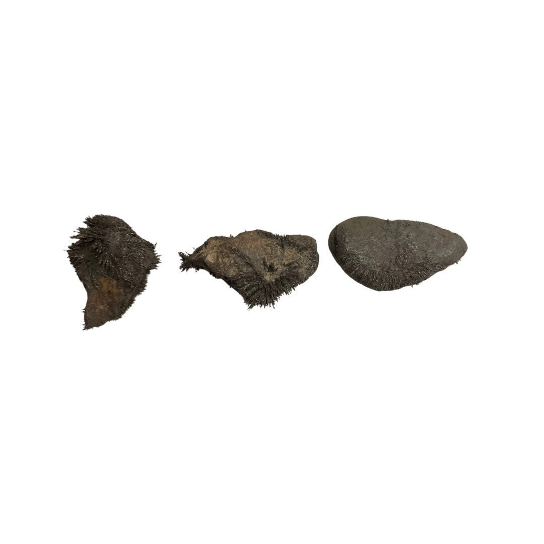 Natural Lodestone | Magnetite | Approx 0.75” to 1.5” | 1 Stone | Used in Spells for Attraction for Love & Money