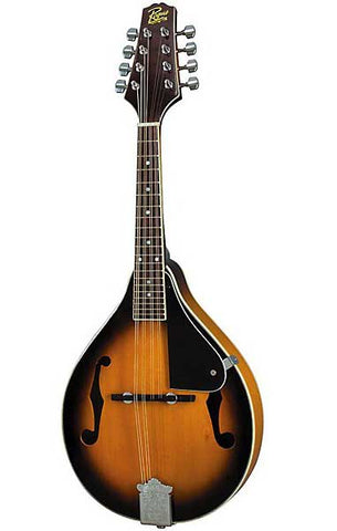 a style mandolin