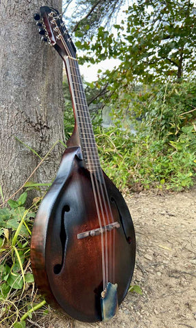 arch top mandolin