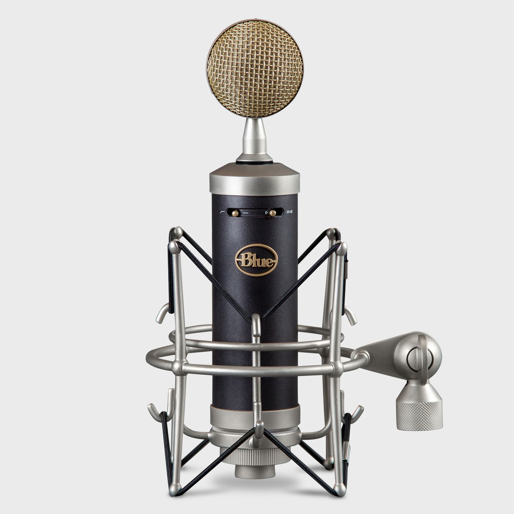 Blue Microphones Bluebird SL Large-Diaphragm Studio Condenser