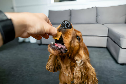 Natural dog treats