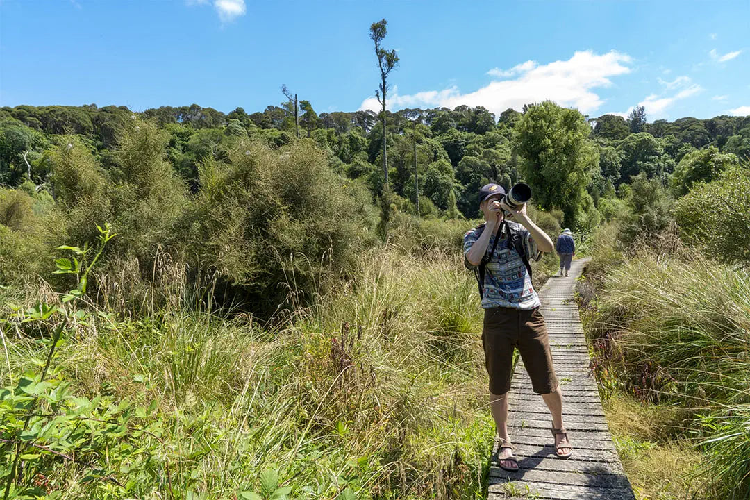 Linton photographing wetlands standing on boardwalk