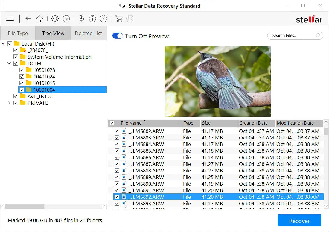 Screenshot Stellar Data Recovery showing preview of photo