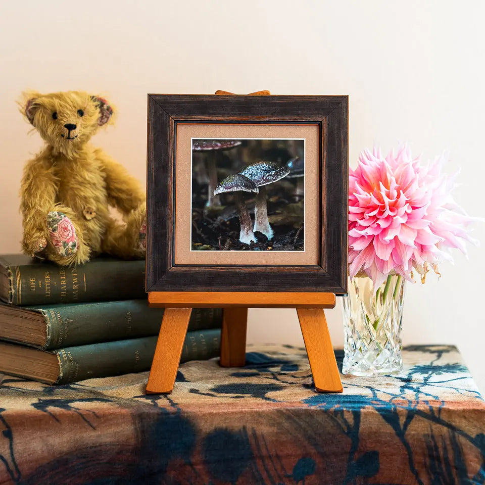 Framed TinyArt of fungi picture and  teddy bear