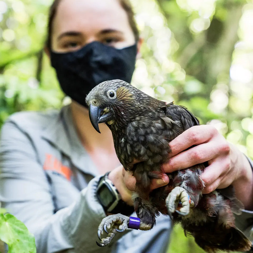 Ranger holding a chick