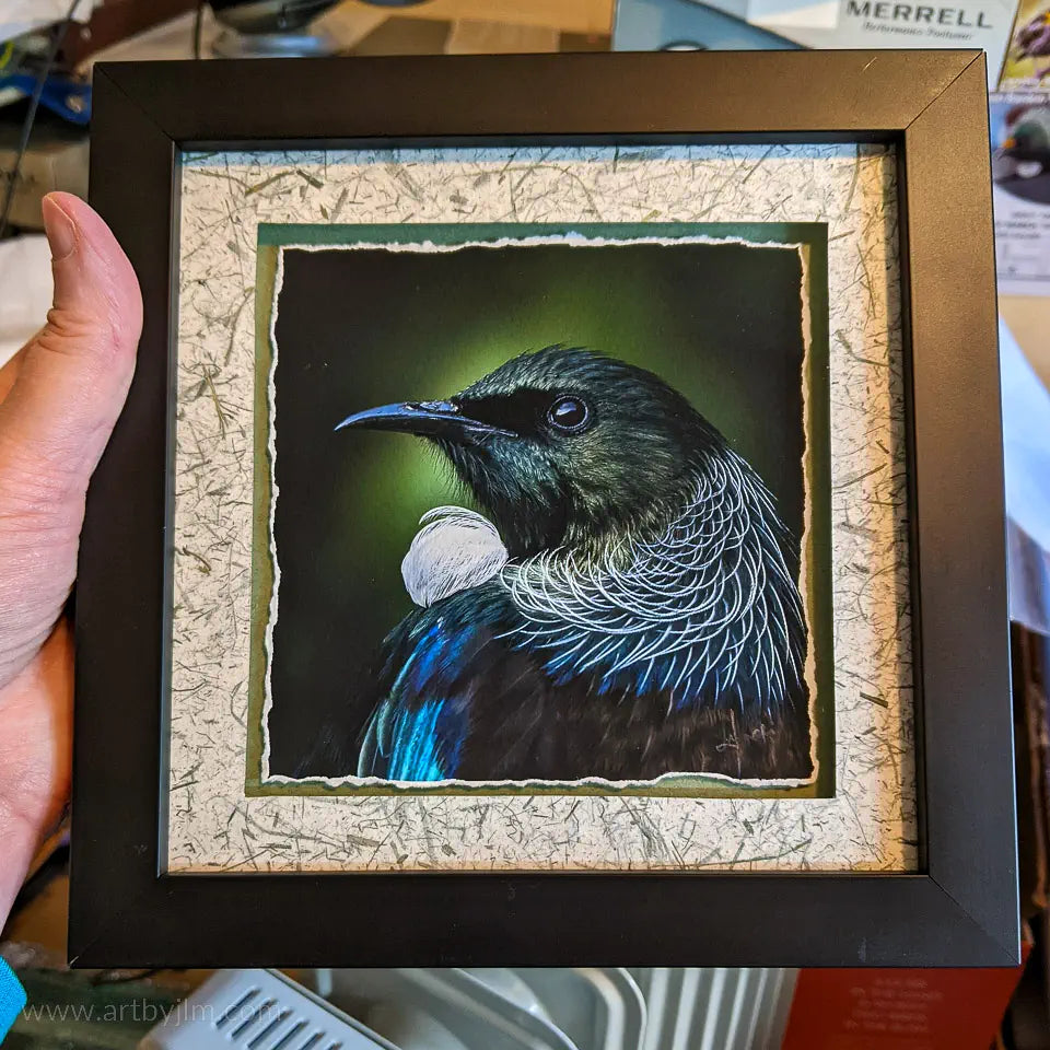 framed artwork of a tui