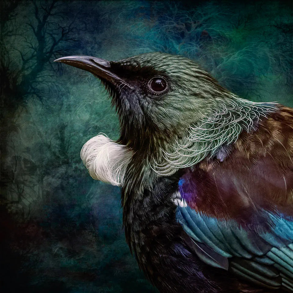 Photoart of a tui