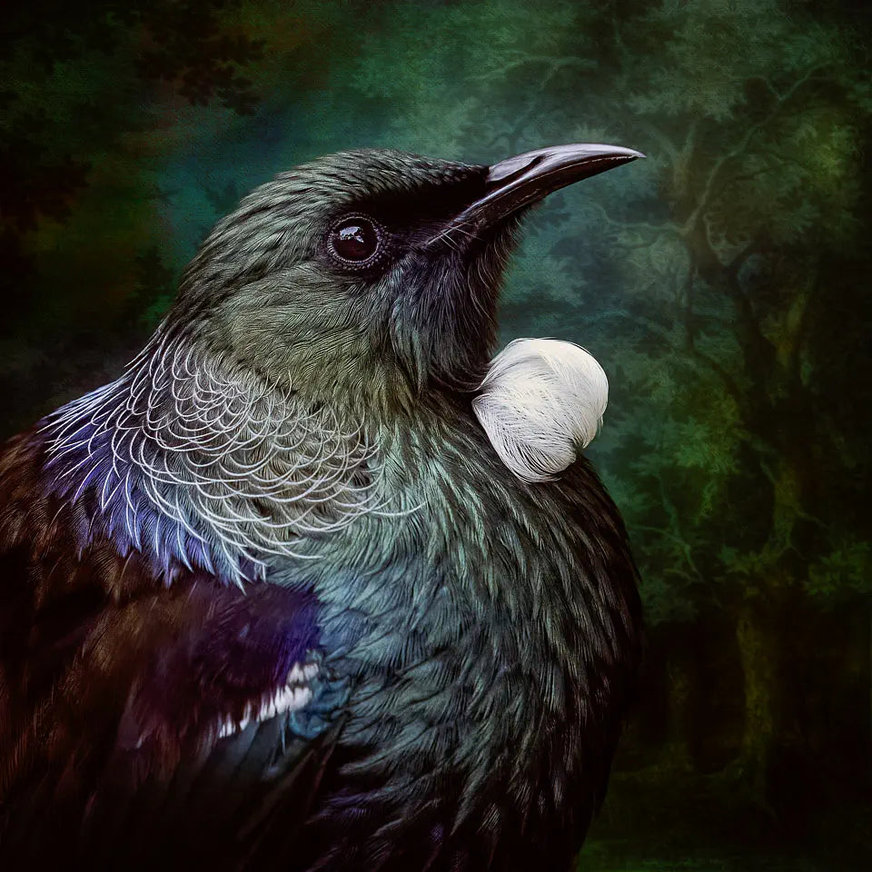 Photoart of a tui