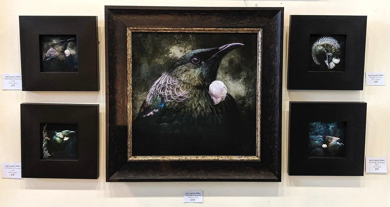 Dark and moody framed tūī artworks hanging on a wall 