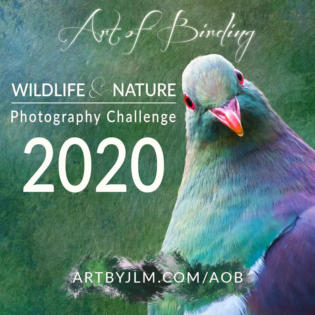 Art of Birding Wildlife & Nature Photography Challenge banner for 2020, featuring a kererū