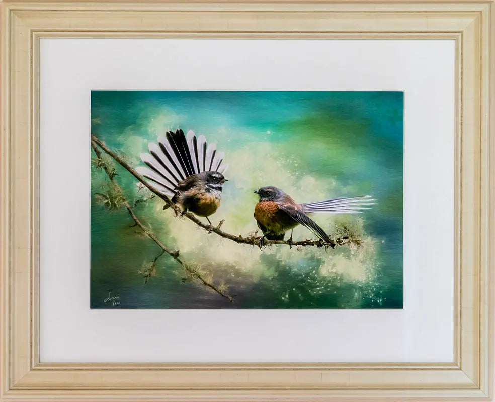 Framed picture of fantails