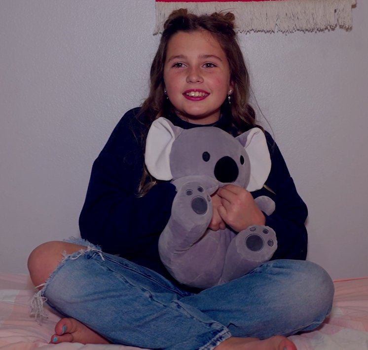 Koala Plush Toy