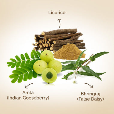 Ayurvedic herbs Licorice, Amla (Indian Gooseberry) and Bhringraj (False Daisy)