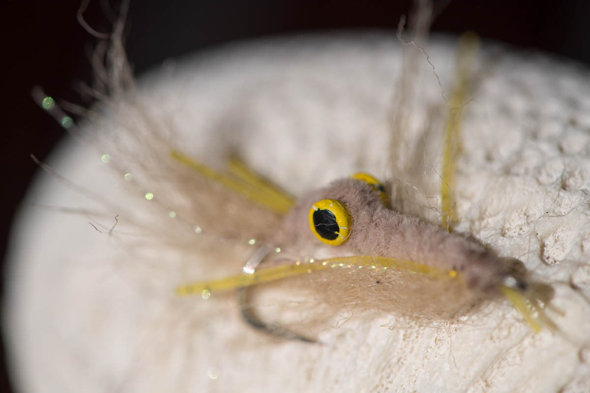 Fly Tying: Shrimp Scampi