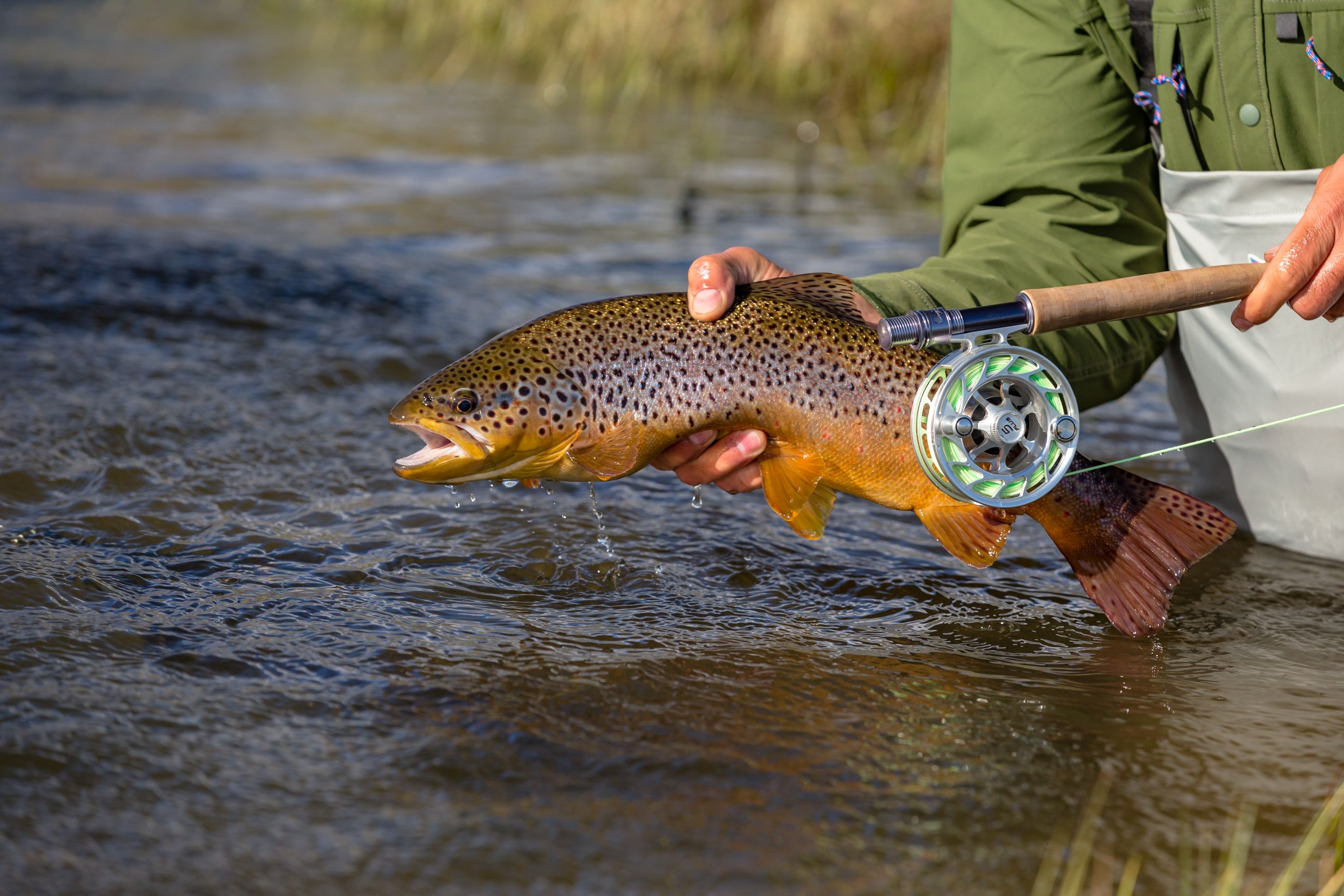 FLY FISHING - FREE shipping on orders 100 Euro - Simms, Sage