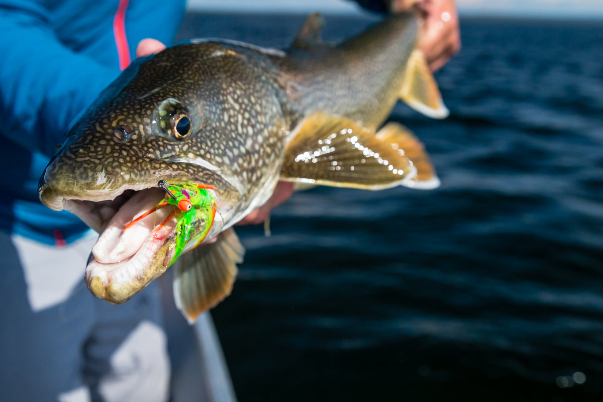 Little Rainbow Trout Streamer - Streamer Flies for Trout - Fly Fishing  Trout Flies for Fly Boxes