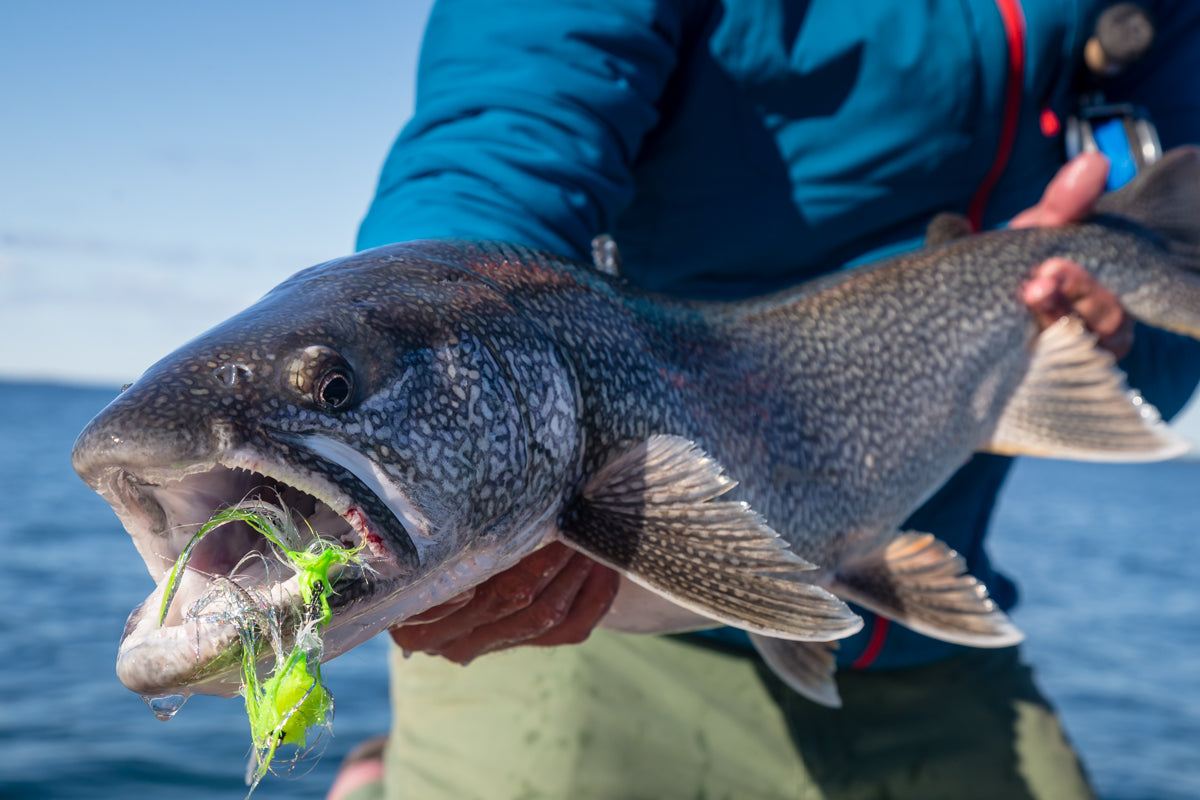Arctic Char Fishing, Plummers Arctic Lodges