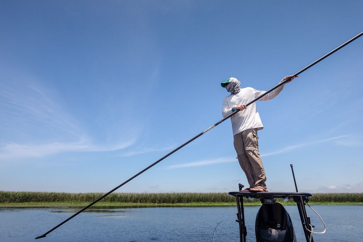 Louisiana: Summertime in the Marsh During Peak Season