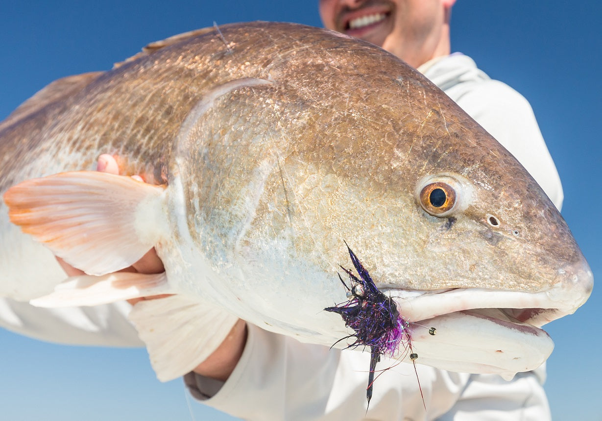 A good hookset is needed to catch redfish