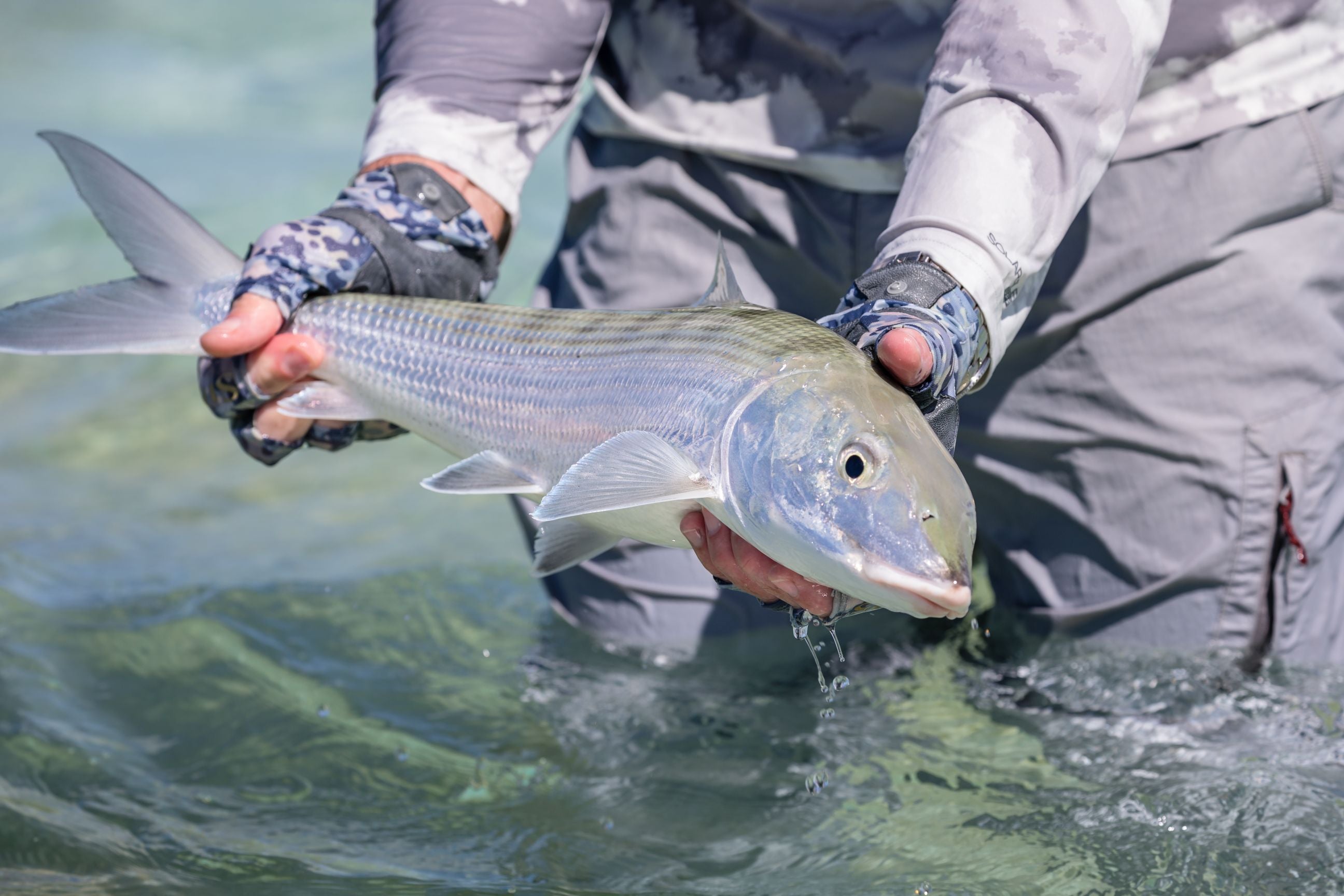 Guided Fly Fishing Trips in Alaska - Far Out Fly Fishing