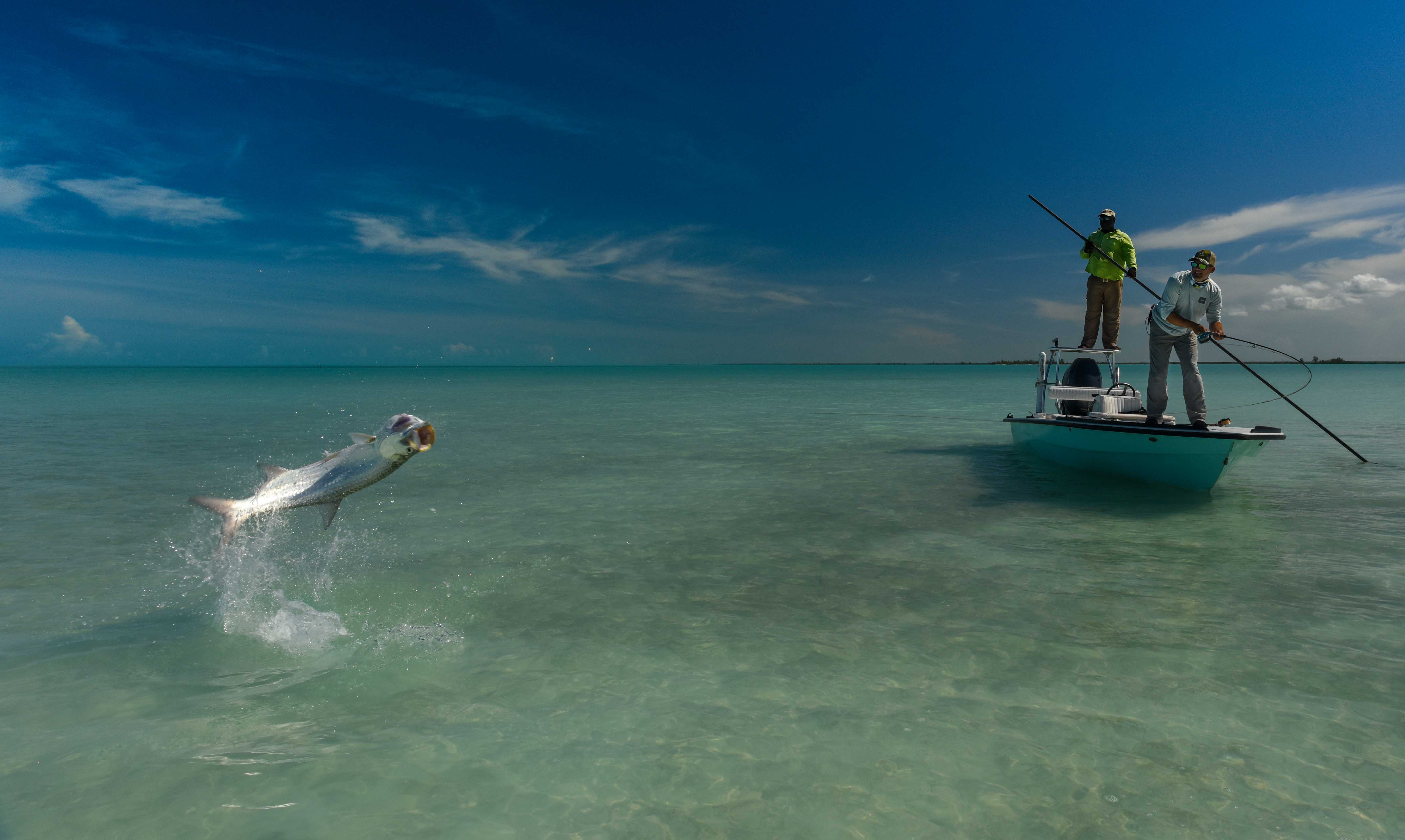 Fishing Lures for sale in Redbay, Florida