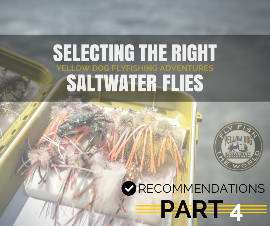 RECOMMENDATION FOR TRAVELING WITH SALTWATER FLIES, PART 4