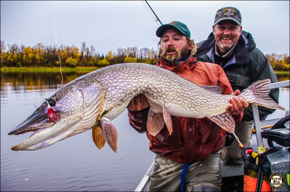 The Roamer Pike Fly - Duranglers Fly Fishing Shop & Guides