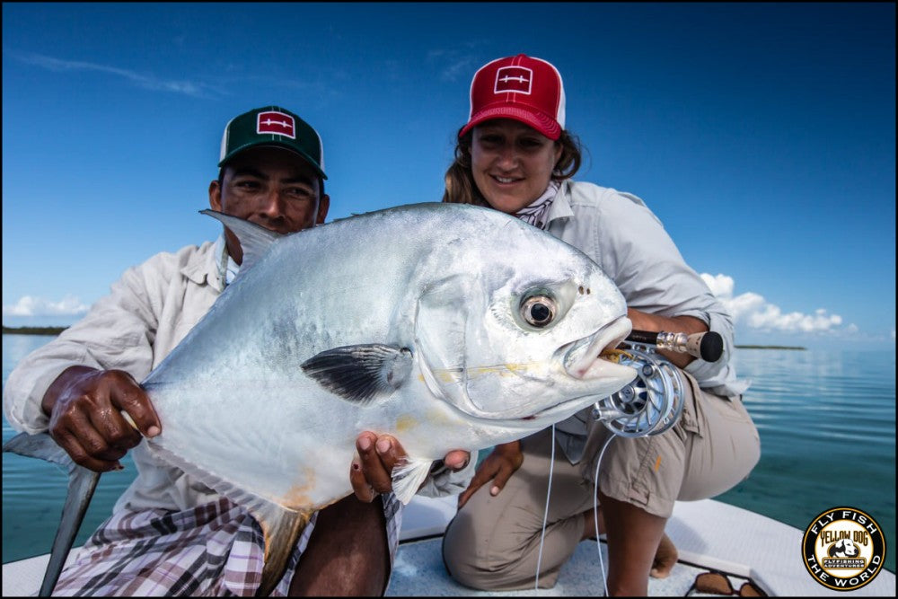 MANY STILL HANKERING TO LAND A PERMIT ON FLY, BY PAUL BRUUN