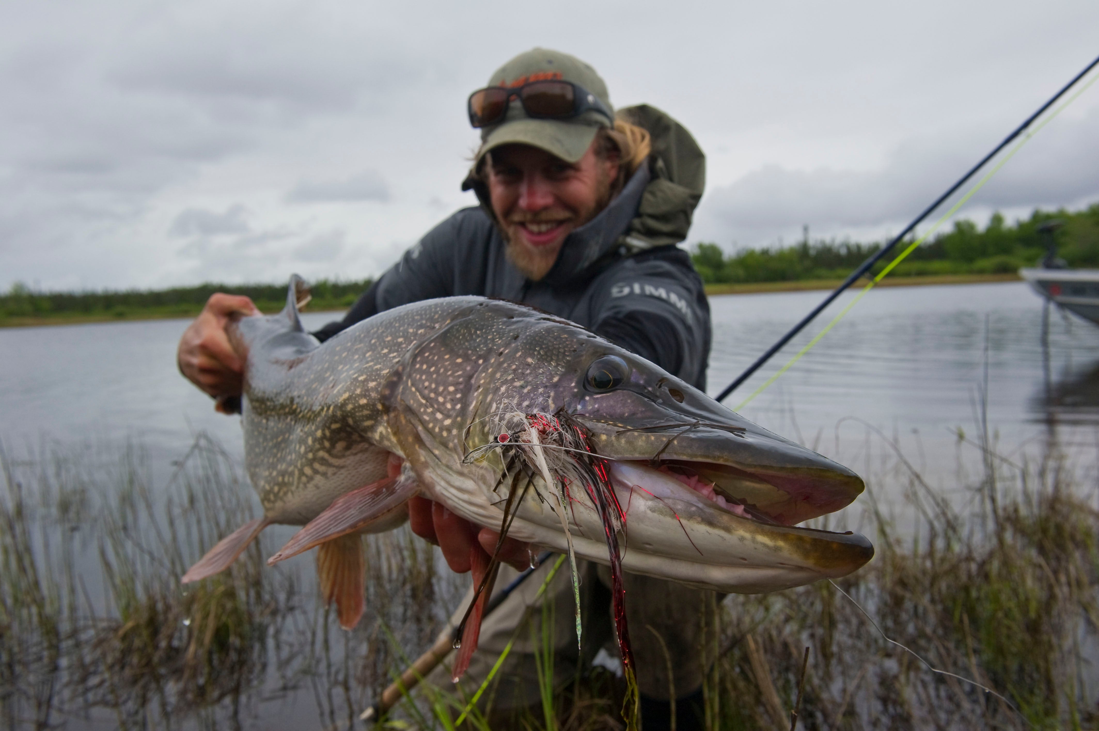 My Pike fly fishing journey from beginner to fanatic! – Lines on