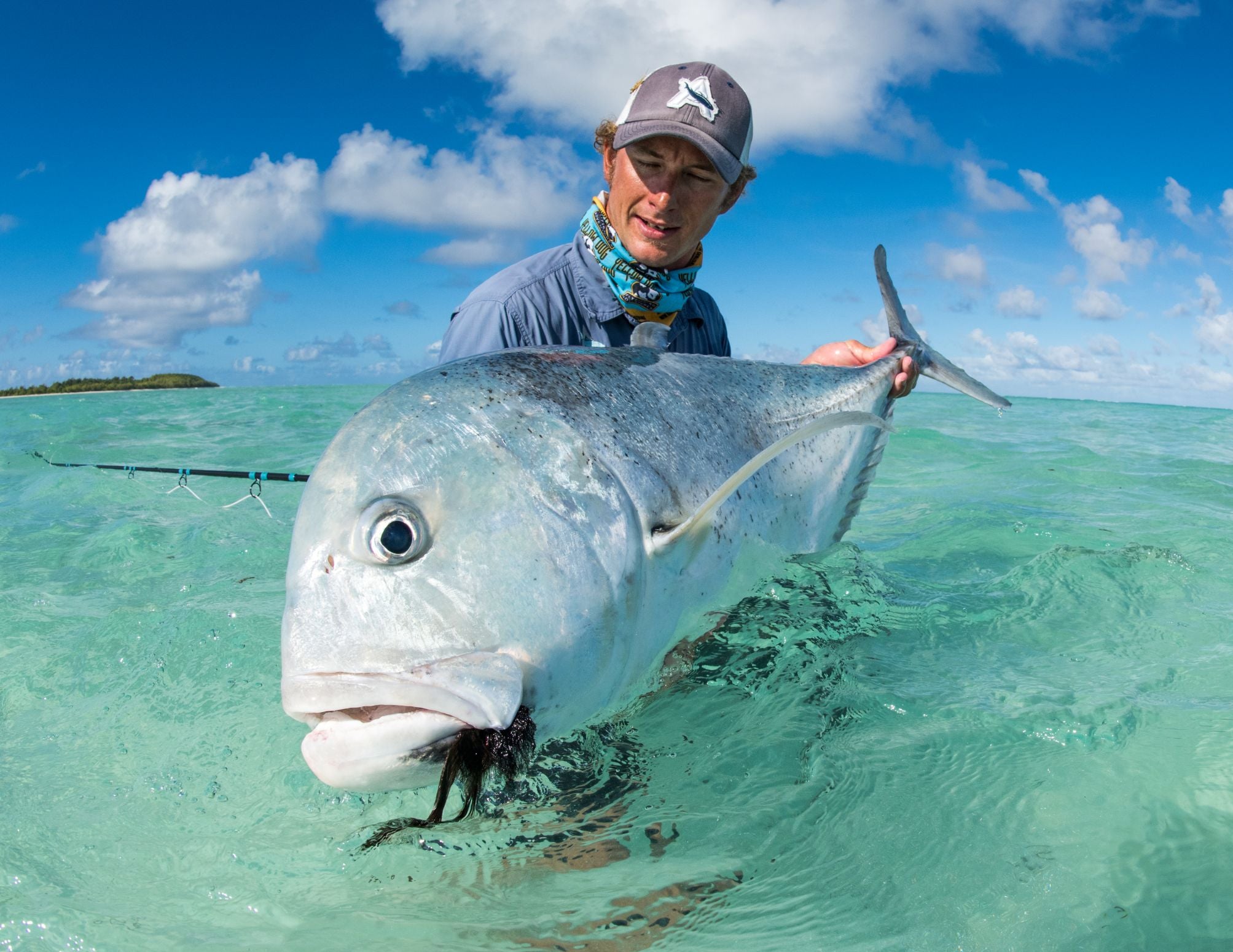 Red Tuna Shirt Club  Alphonse Fishing Company from the Seychelles - Red  Tuna Shirt Company