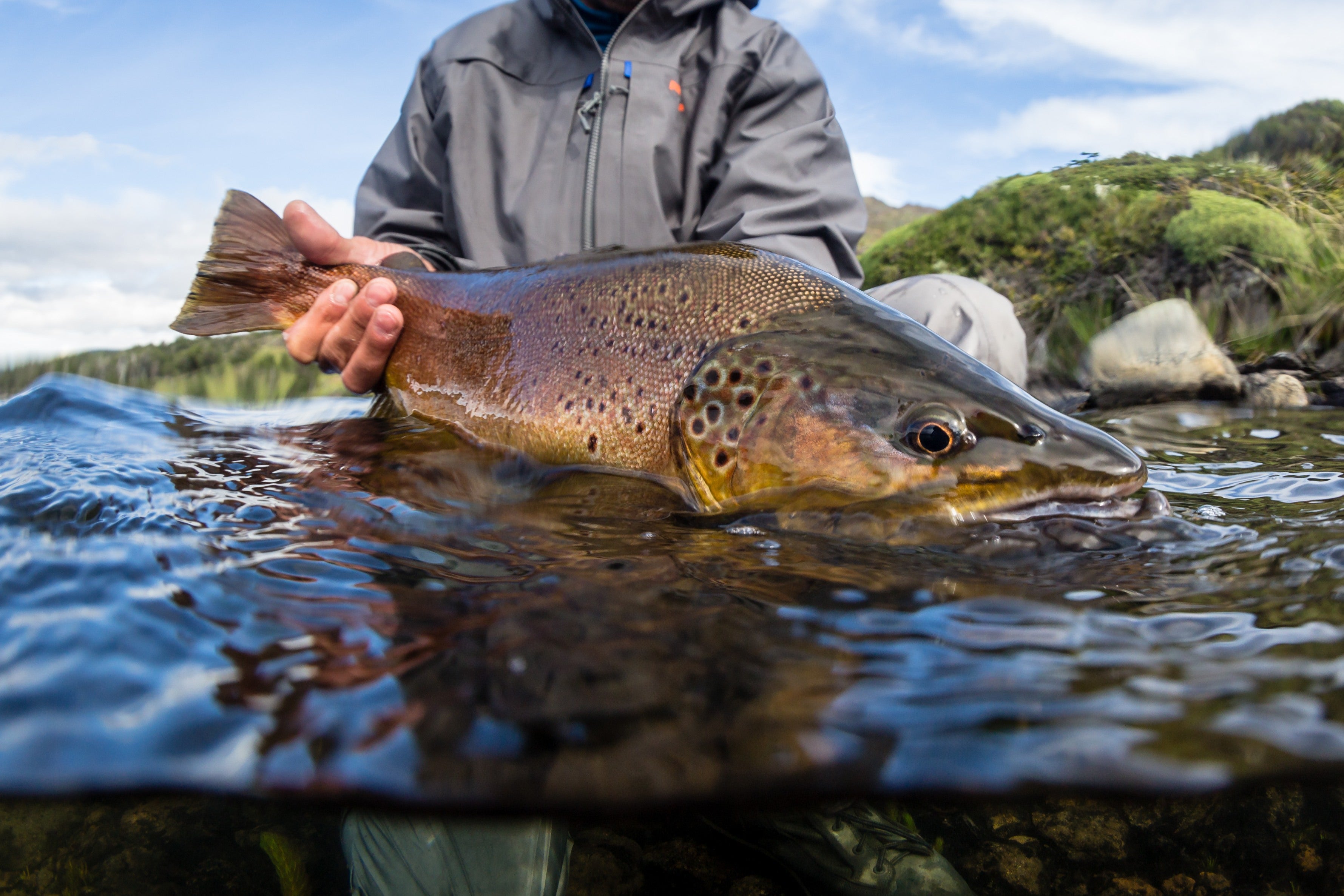 Patagonia, Chile Fly Fishing Trips, Lodges & Guides