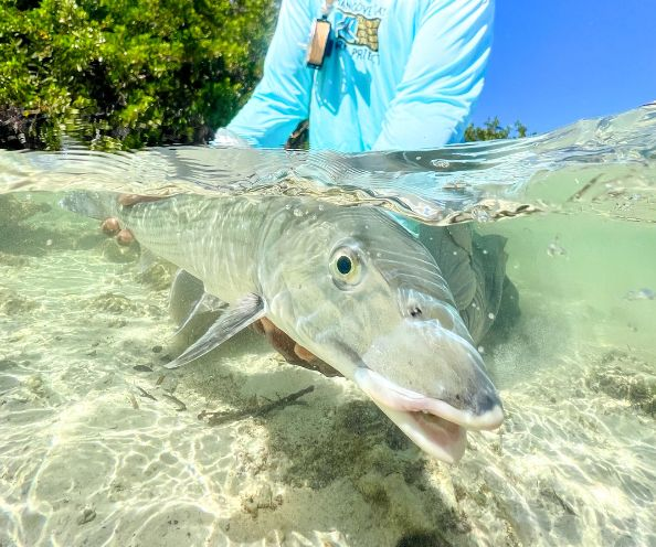 Rio Premier Bonefish QuickShooter Floating Fly Line – Fish Tales