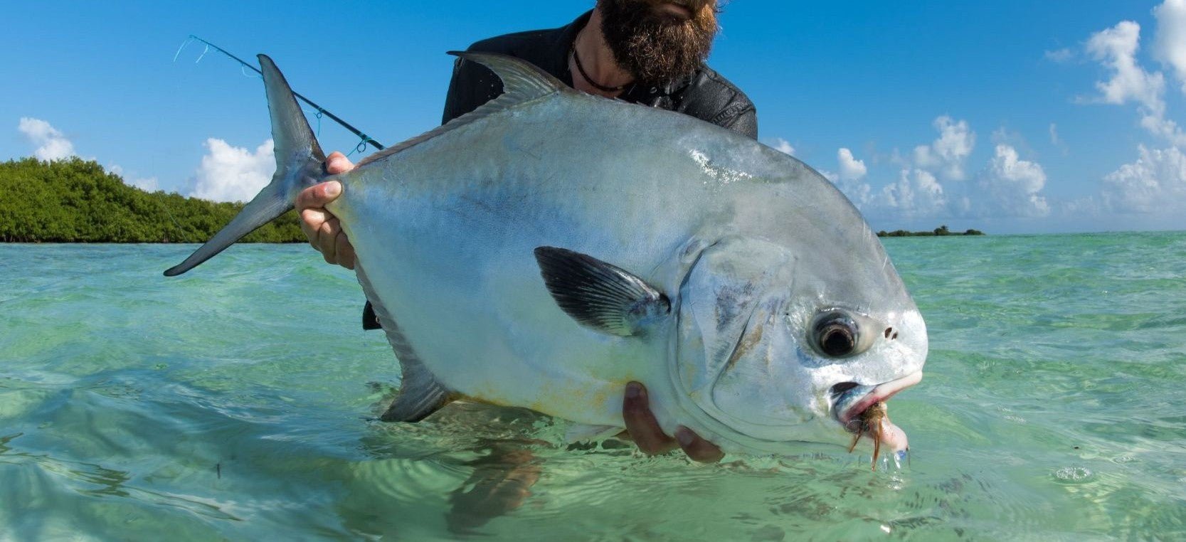 Is this the next great permit fishing destination?