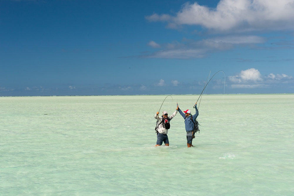 15 Exotic Species to Target on a Seychelles Fishing Trip