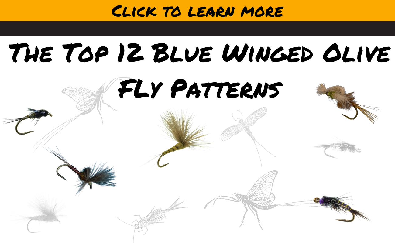 Fly Tying Videos Archives - Bighorn Angler