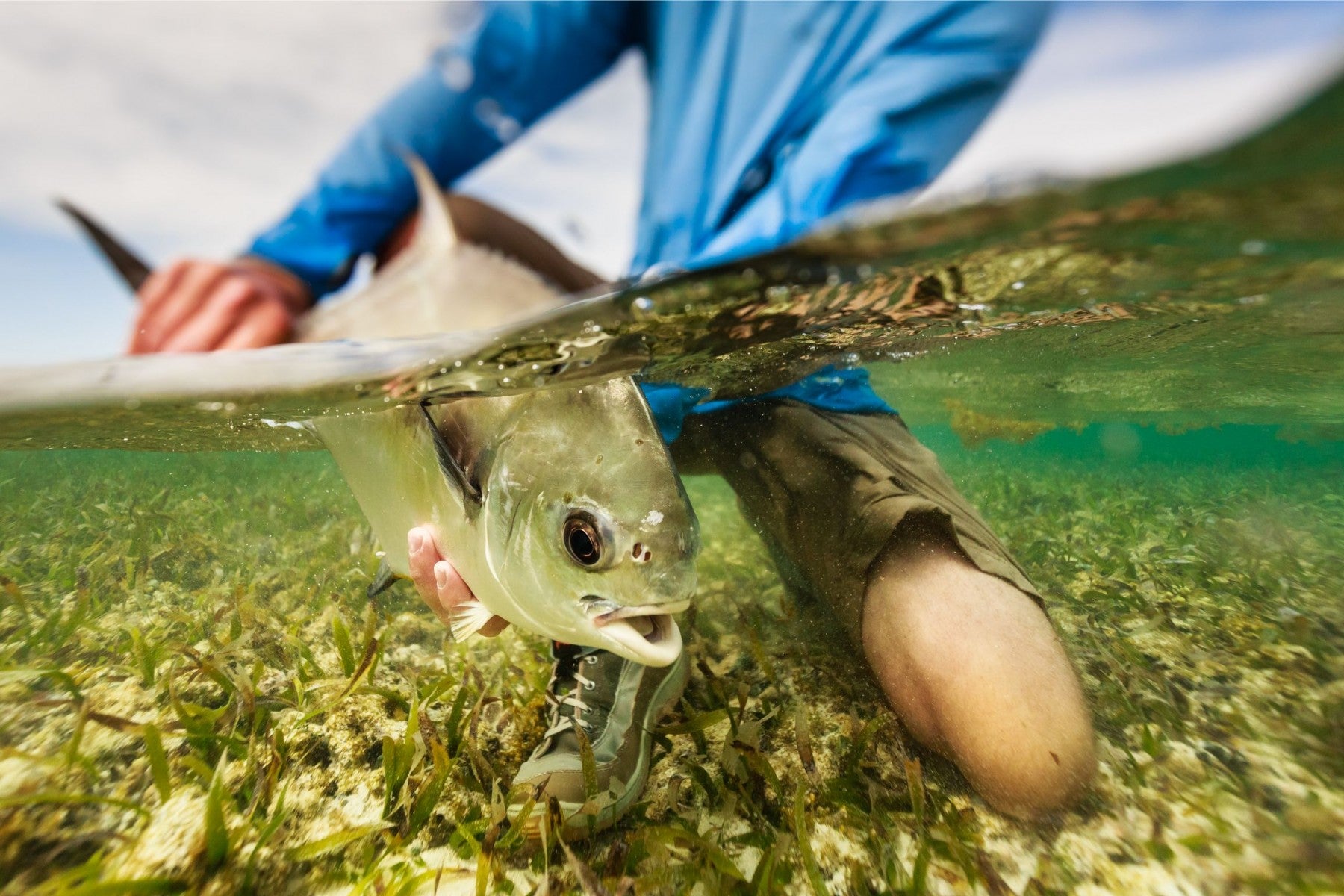 The 12 Best Guided Fly Fishing Trips in the World