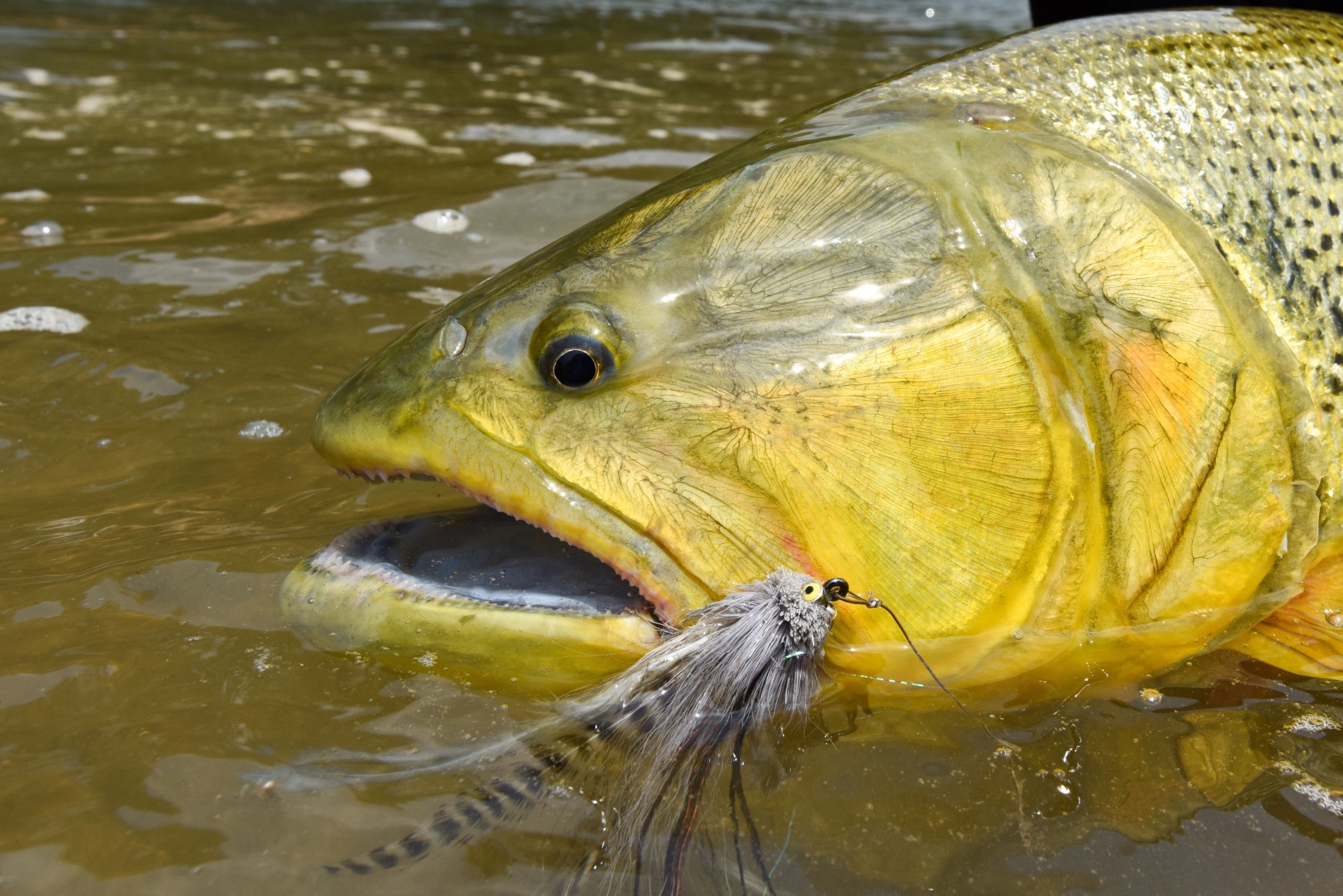 Fishpond tagged Fly Fishing Bag - Madison River Outfitters