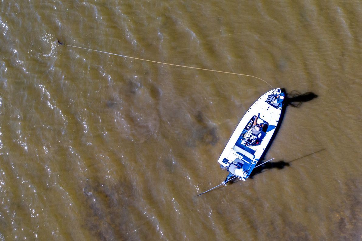 Practice Fly Casting: 8 Tips from a Fly Fishers Master Certified Instr