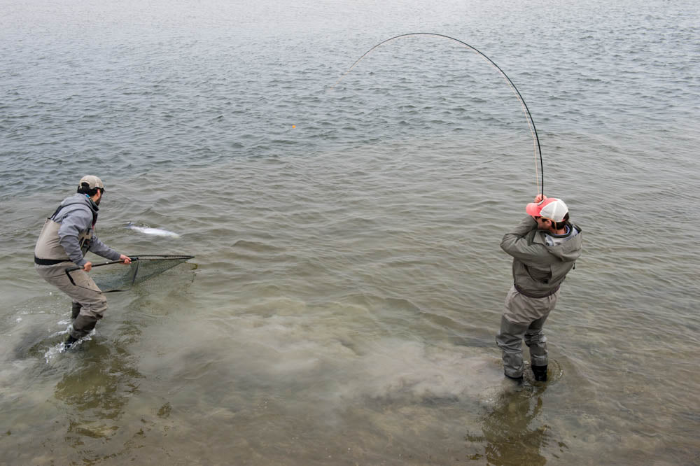 The Ultimate Guide to Fly Fishing in Argentina