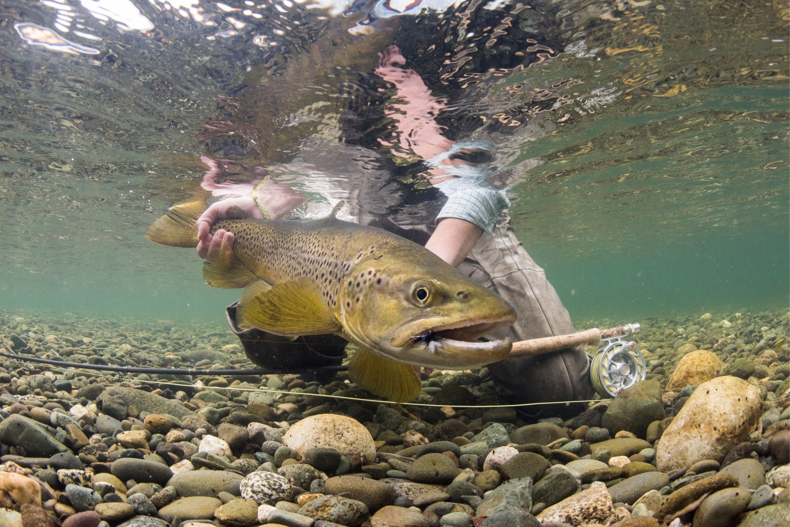 The Most Pristine Trout Fisheries in the World