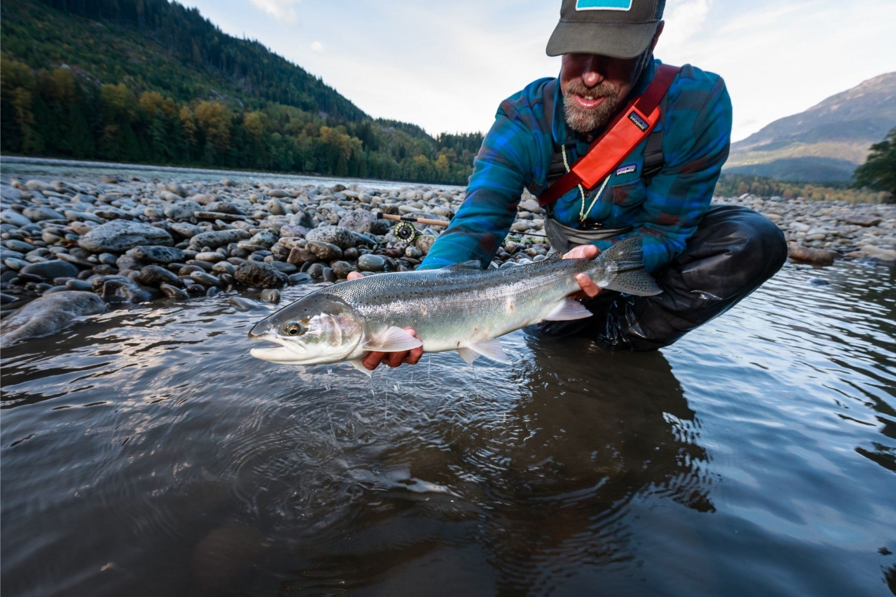 A Brief Guide to Steelhead Fishing in British Columbia