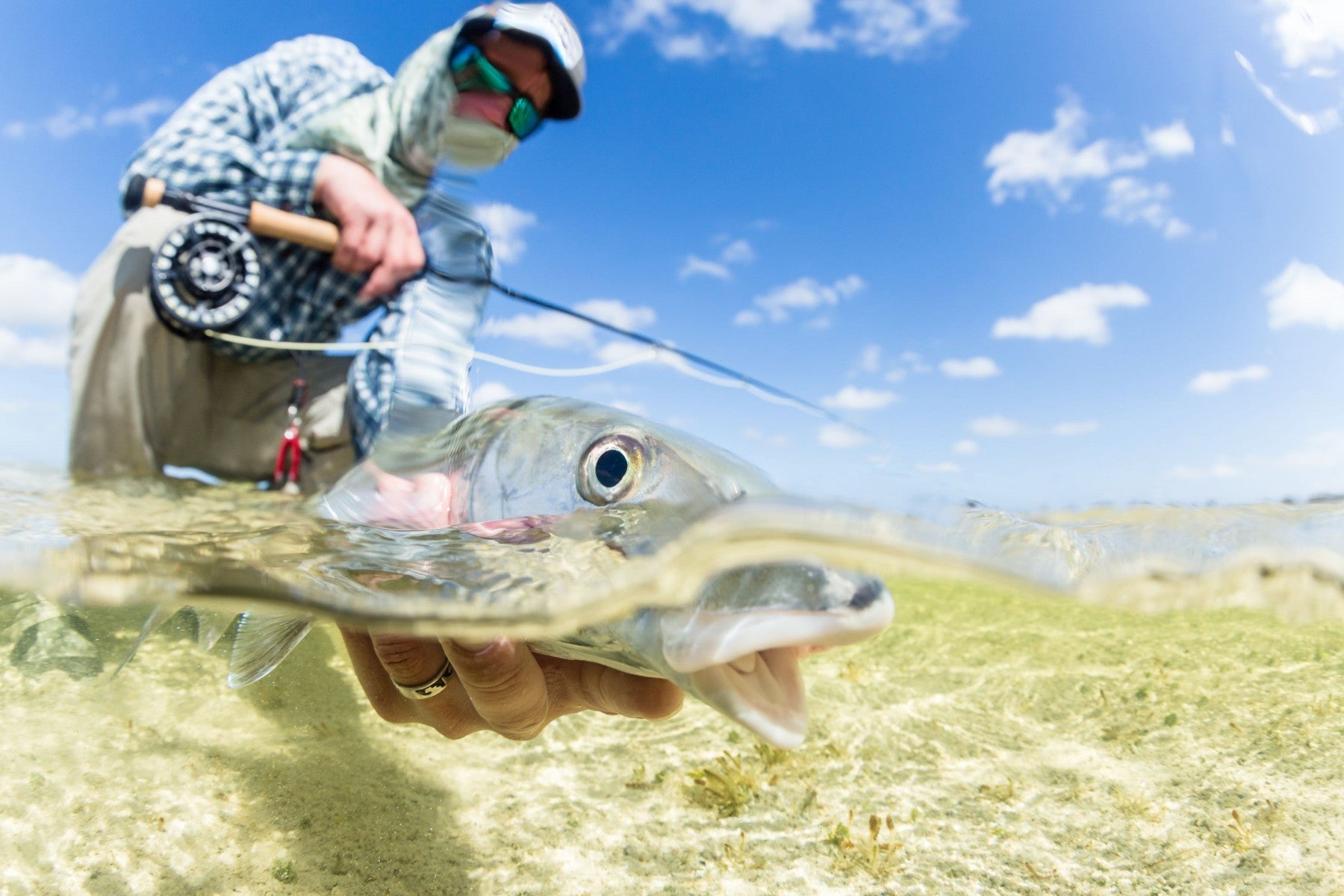 fly fishing guided trips near me