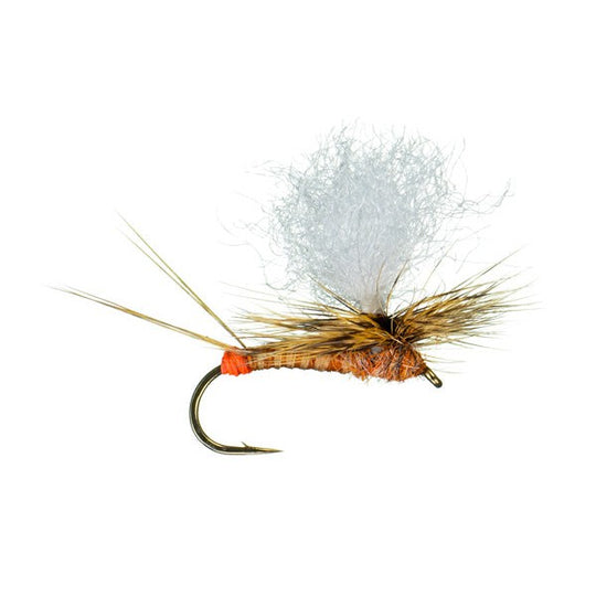 YZD Trout Fly Fishing Flies Collection 194/118/69 Premium Flies Dry Wet  Nymph