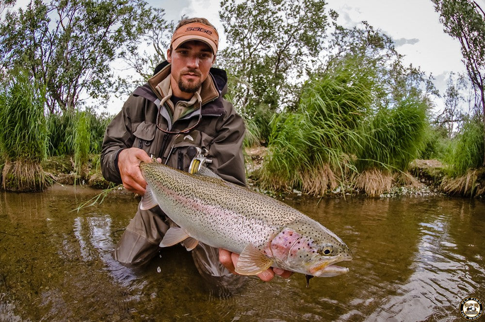 Why Should You Experience Fly Fishing in Alaska?