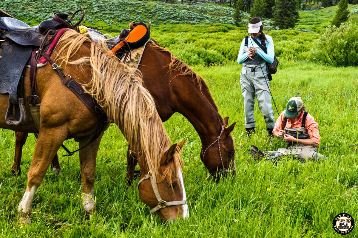 float trip fly fishing