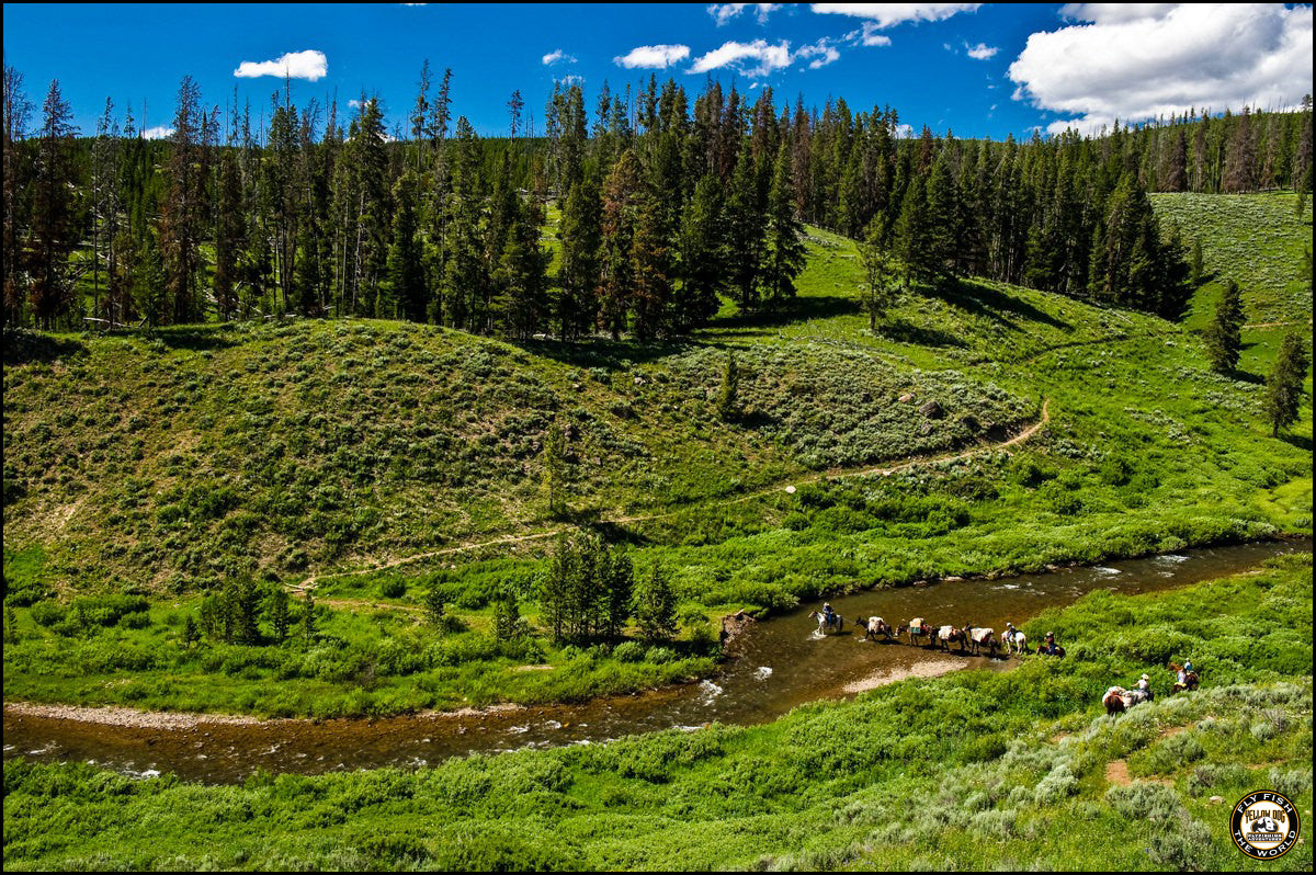 best fly fishing trips out west