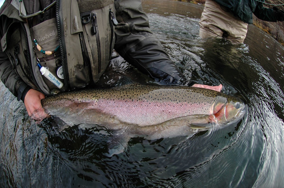 7 Best Places for Large, Wild Trout in the United States