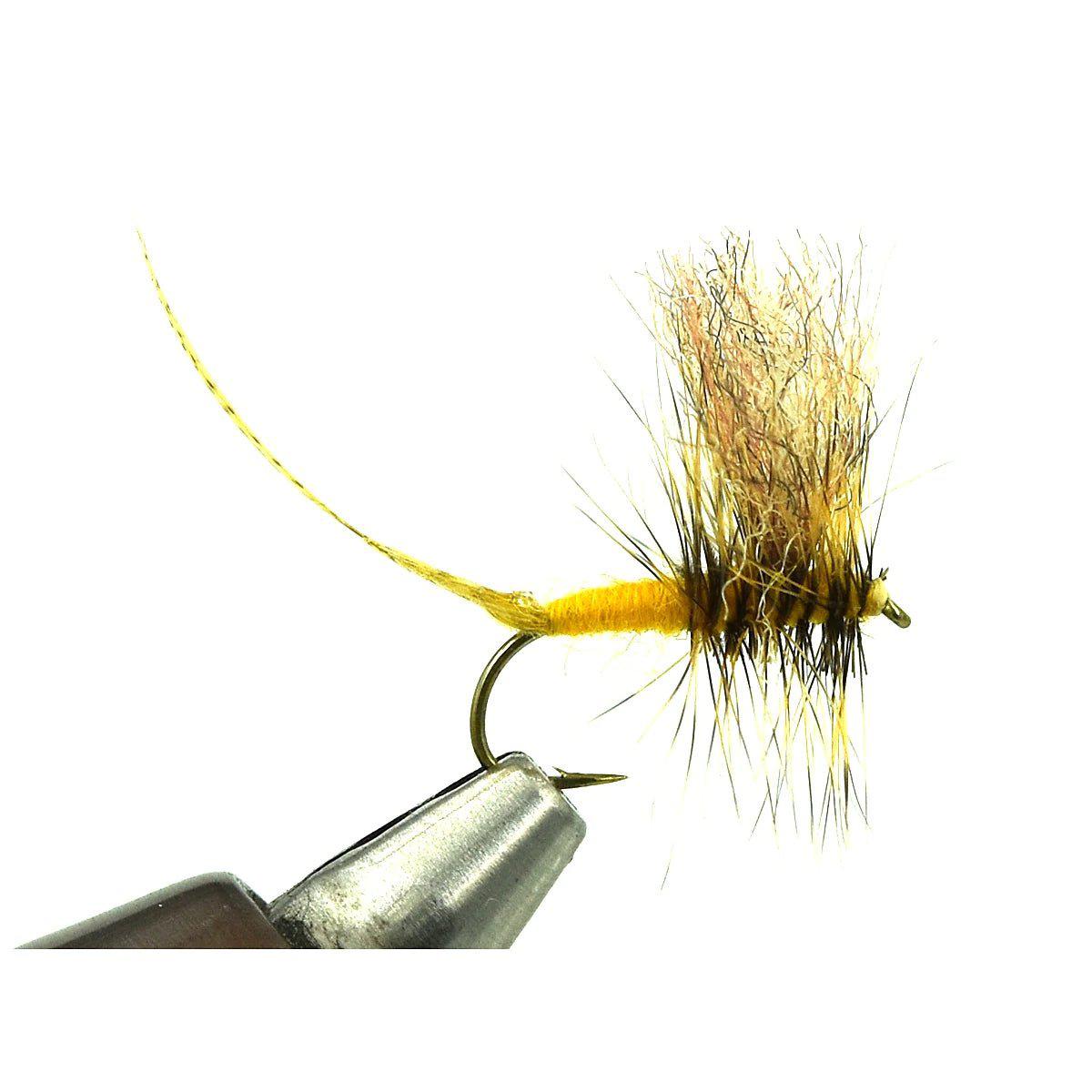 EP® RED QUILL - Enrico Puglisi Flies