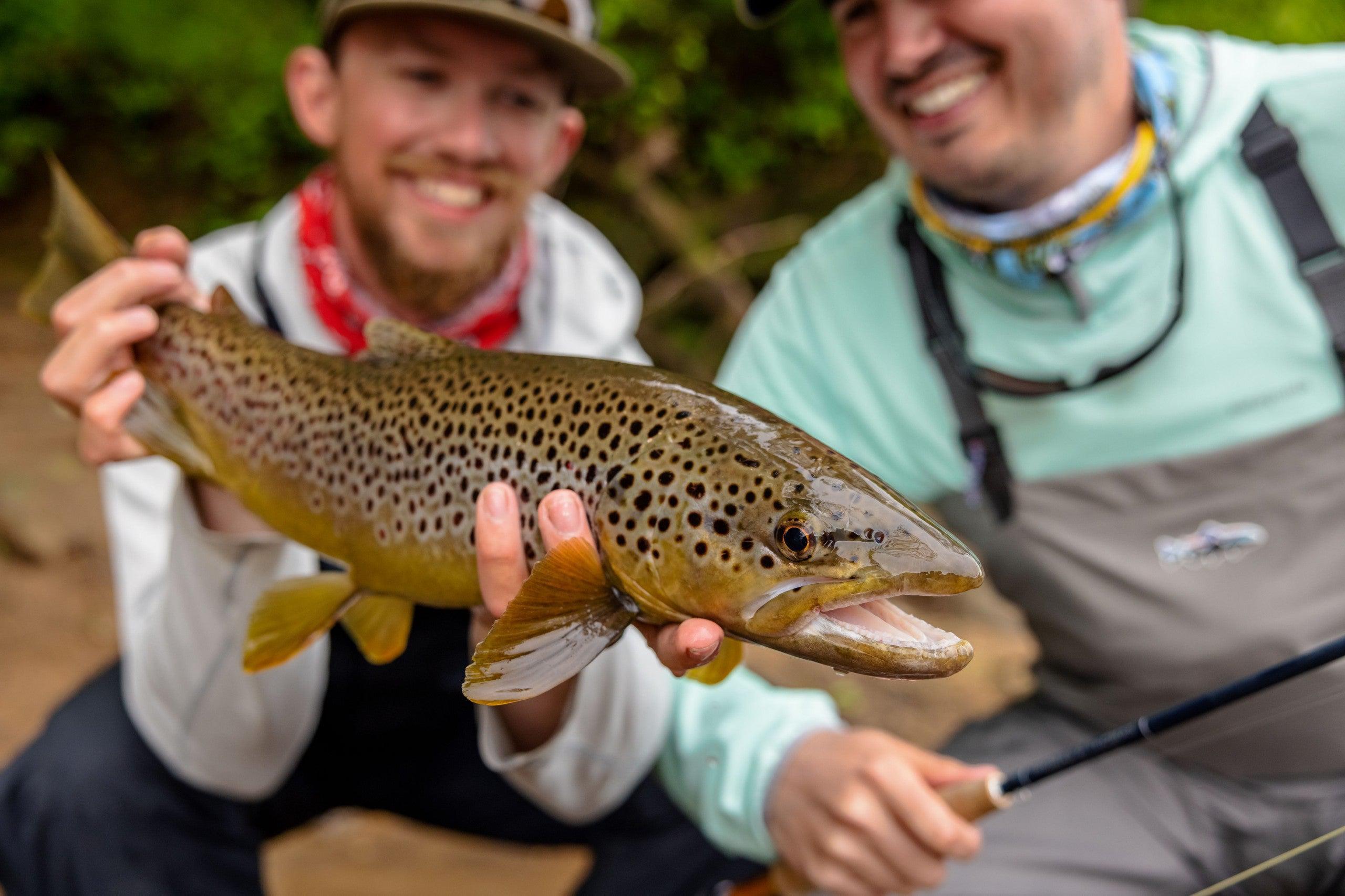 Woodard Fly Fishing - Arkansas Trophy Trout Fishing