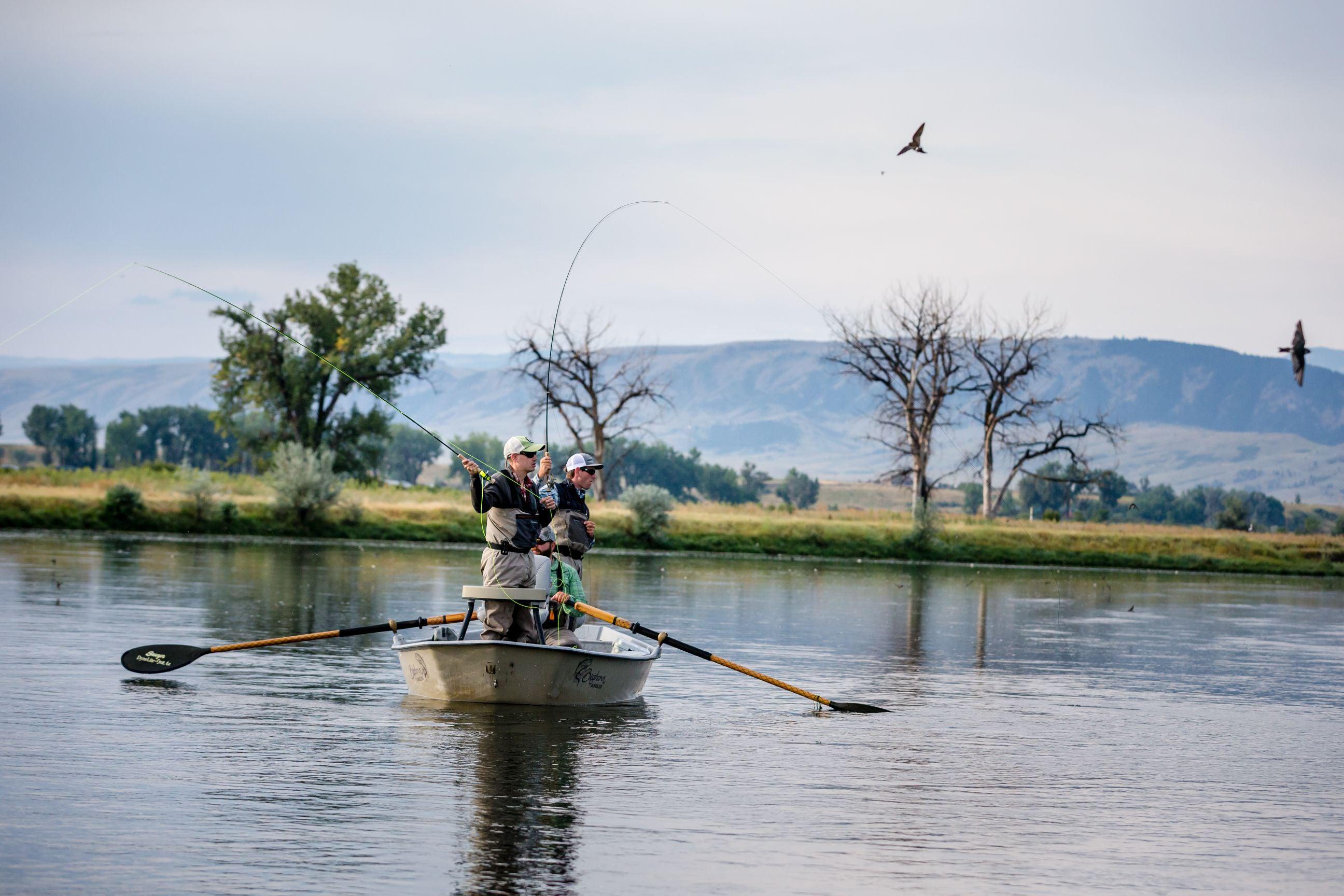 Bighorn River Fly Fishing Day Trips | Yellow Dog Flyfishing